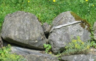 weibl.jpg