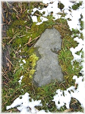 Schneemoosstein.jpg