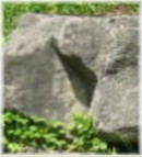 Steintor.jpg