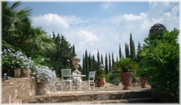 terazza.jpg